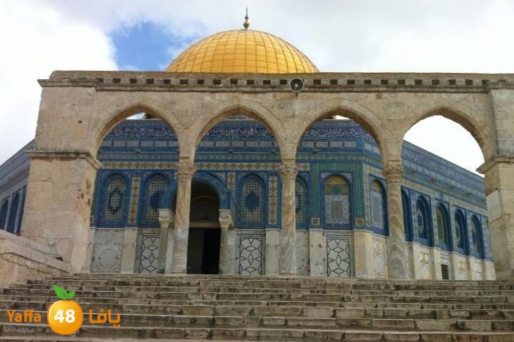 akademylud325 (8).JPG